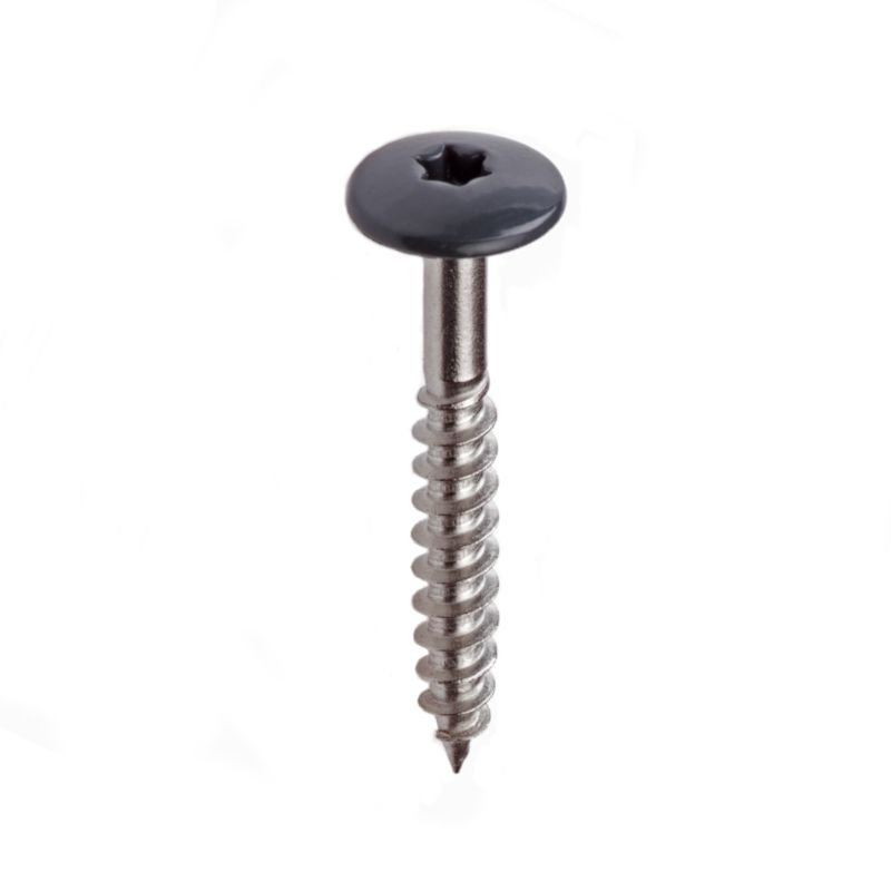 Pro-Pan schroef op kleur 4,8x38mm (100)